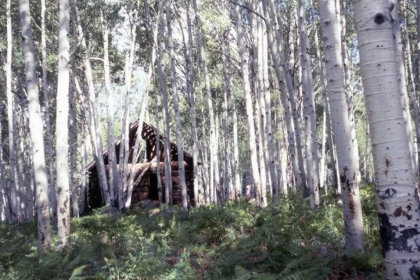 Deerwater 1977